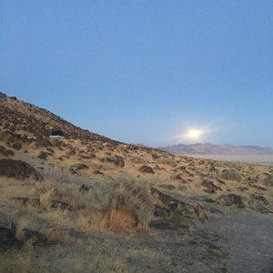 Meet your Posher, Molly